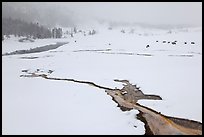 Winter landscape with thermal run-off. Yellowstone National Park, Wyoming, USA. (color)