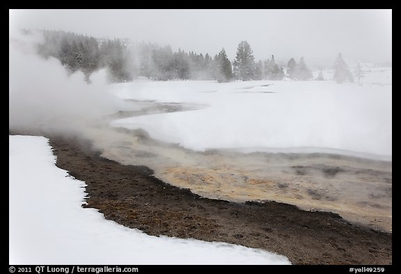 Upper Geyser Basin in winter. Yellowstone National Park (color)