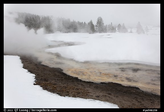 Upper Geyser Basin in winter. Yellowstone National Park, Wyoming, USA.