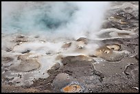 Hot springs detail. Yellowstone National Park, Wyoming, USA. (color)