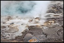 Hot springs detail. Yellowstone National Park, Wyoming, USA.