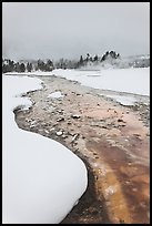 Thermal run-off stream contrasts with snowy landscape. Yellowstone National Park, Wyoming, USA.