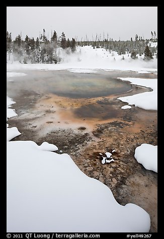 Hot springs and snow, Upper Geyser Basin. Yellowstone National Park, Wyoming, USA.