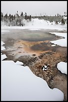 Hot springs and snow, Upper Geyser Basin. Yellowstone National Park, Wyoming, USA.