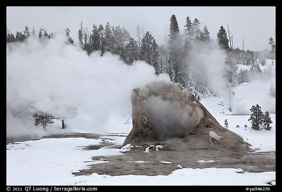 Giant Geyser cone and steam in winter. Yellowstone National Park, Wyoming, USA.