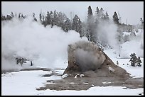 Giant Geyser cone and steam in winter. Yellowstone National Park, Wyoming, USA.