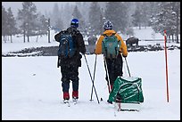 Skiers and bisons. Yellowstone National Park, Wyoming, USA.