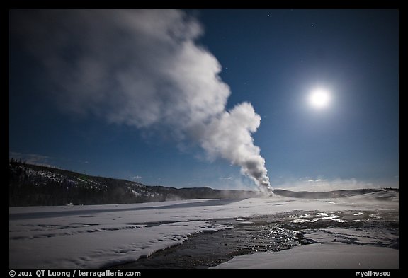 Old Faithful Geyser eruption and moon. Yellowstone National Park, Wyoming, USA.