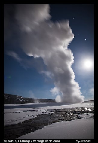 Old Faithful Geyser in the winter with moon. Yellowstone National Park, Wyoming, USA.