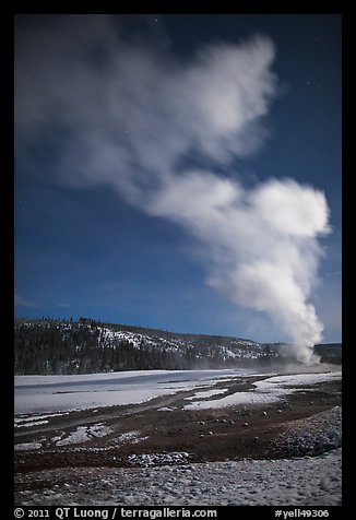 Plume, Old Faithful geyser, winter night. Yellowstone National Park, Wyoming, USA.