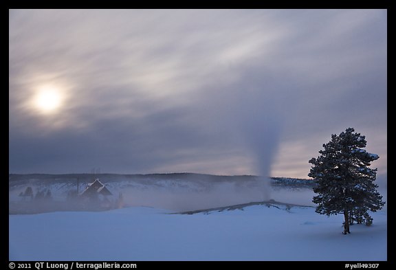 Old Faithful geyser, moon and clouds. Yellowstone National Park, Wyoming, USA.