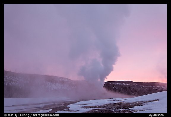 Old Faithful Geyser at dawn. Yellowstone National Park, Wyoming, USA.