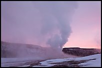 Old Faithful Geyser at dawn. Yellowstone National Park, Wyoming, USA. (color)