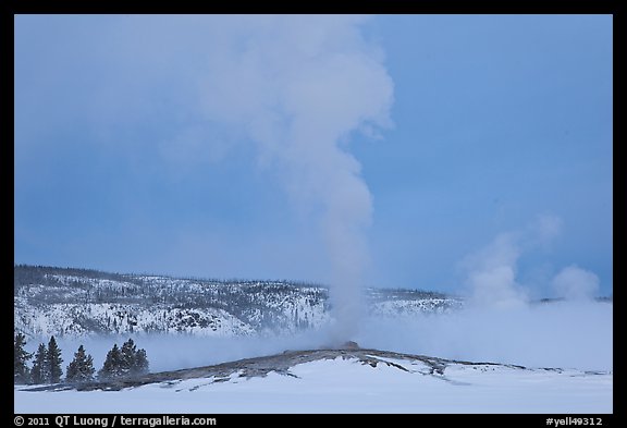 Old Faithful geyser plume in winter. Yellowstone National Park, Wyoming, USA.