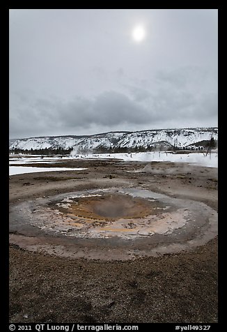 Mustard Spring. Yellowstone National Park (color)