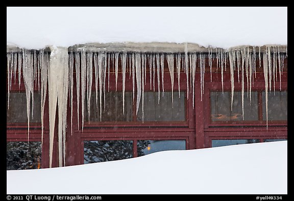 Icicles, Old Faithful Snow Lodge. Yellowstone National Park, Wyoming, USA.