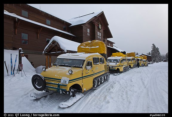 Snow busses in front of Old Faithful Snow Lodge. Yellowstone National Park, Wyoming, USA.