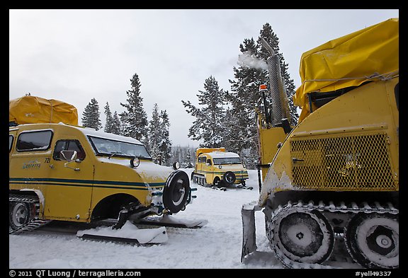 Bombardier snowcoaches. Yellowstone National Park, Wyoming, USA.