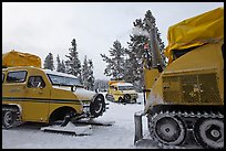 Bombardier snowcoaches. Yellowstone National Park, Wyoming, USA.