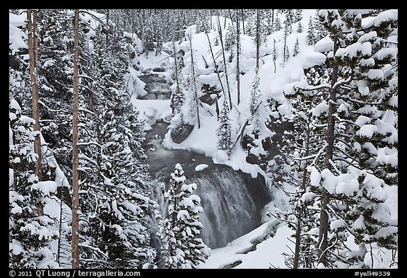 Snowy forest and Kepler Cascades. Yellowstone National Park, Wyoming, USA.