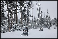 Snowmobilers. Yellowstone National Park, Wyoming, USA. (color)