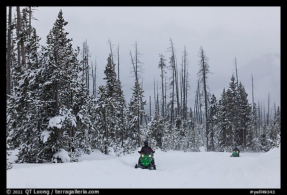 Snowmobiles. Yellowstone National Park, Wyoming, USA.