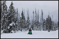 Snowmobiles. Yellowstone National Park, Wyoming, USA. (color)