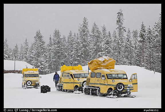 Snowcoaches and snow falling. Yellowstone National Park (color)