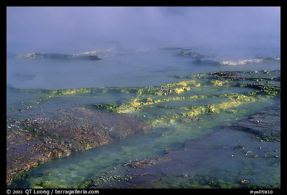 Yellow mineral deposits in a hot springs, Midway Geyser basin. Yellowstone National Park (color)