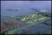 Yellow mineral deposits in a hot springs, Midway Geyser basin. Yellowstone National Park ( color)