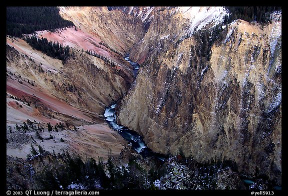 River and Walls of the Grand Canyon of Yellowstone, dusk. Yellowstone National Park, Wyoming, USA.