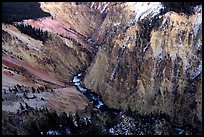 River and Walls of the Grand Canyon of Yellowstone, dusk. Yellowstone National Park, Wyoming, USA.