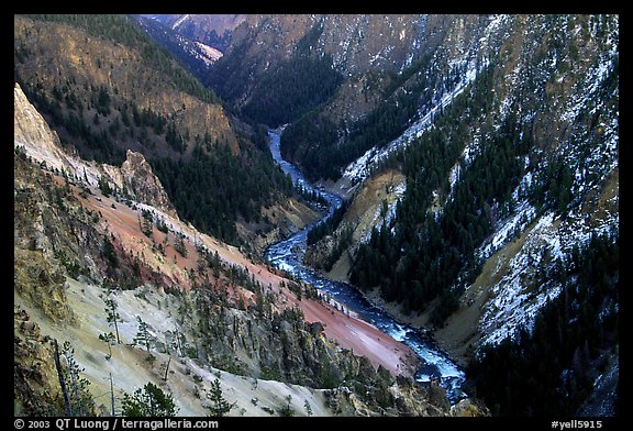 River and Walls of the Grand Canyon of Yellowstone, dusk. Yellowstone National Park, Wyoming, USA.