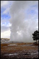 Steam column from Old Faithful Geyser. Yellowstone National Park, Wyoming, USA. (color)