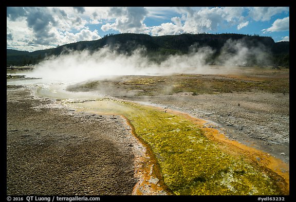 Water runoff from hot springs, Biscuit Basin. Yellowstone National Park (color)