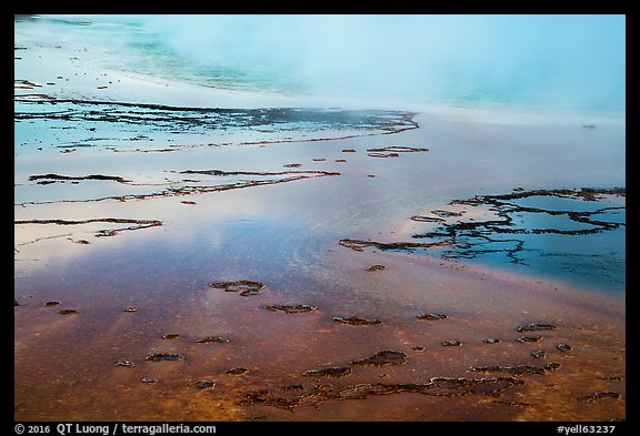 Bacterial mats, Grand Prismatic Springs. Yellowstone National Park (color)