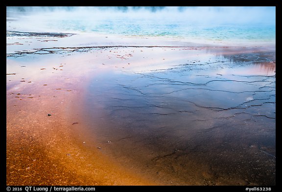 Terraces and Bacterial mats, Grand Prismatic Springs. Yellowstone National Park (color)