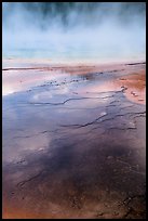 Microbial mat and steam, Grand Prismatic Springs. Yellowstone National Park ( color)