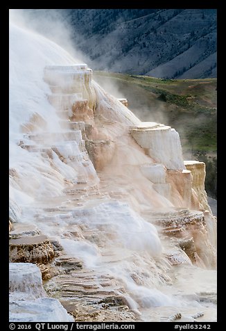 Canary Springs and hills. Yellowstone National Park (color)