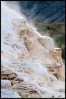 Canary Springs and hills. Yellowstone National Park ( color)