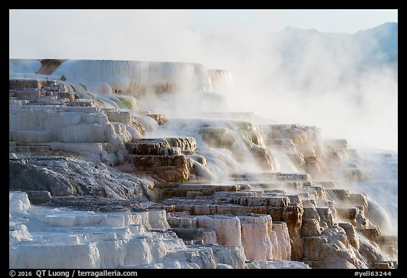 Canary Springs and mountains. Yellowstone National Park (color)