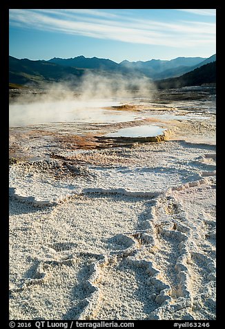 Main Terrace, Mammoth Hot Springs. Yellowstone National Park (color)