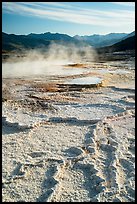 Main Terrace, Mammoth Hot Springs. Yellowstone National Park ( color)