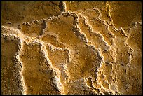 Travertine terrace detail, Mammoth Hot Springs. Yellowstone National Park, Wyoming, USA.