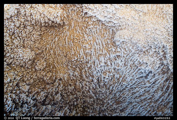 Hot springs detail, Main Terrace. Yellowstone National Park (color)