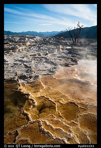 Main Terrace, morning, Mammoth Hot Springs. Yellowstone National Park, Wyoming, USA.