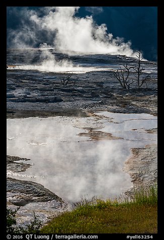 Backlit steam and pool, Main Terrace, Mammoth Hot Springs. Yellowstone National Park (color)