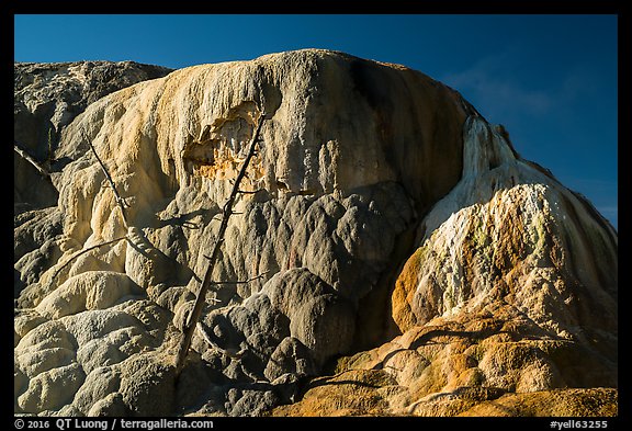 Orange Spring Mound, Mammoth Hot Springs. Yellowstone National Park, Wyoming, USA.