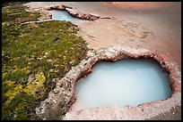 Turquoise mudpots, Artist Paint Pots. Yellowstone National Park ( color)