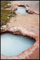 Mudpots, Artist Paint Pots thermal area. Yellowstone National Park ( color)
